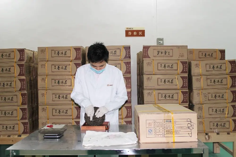 漳州普洱茶检验展示