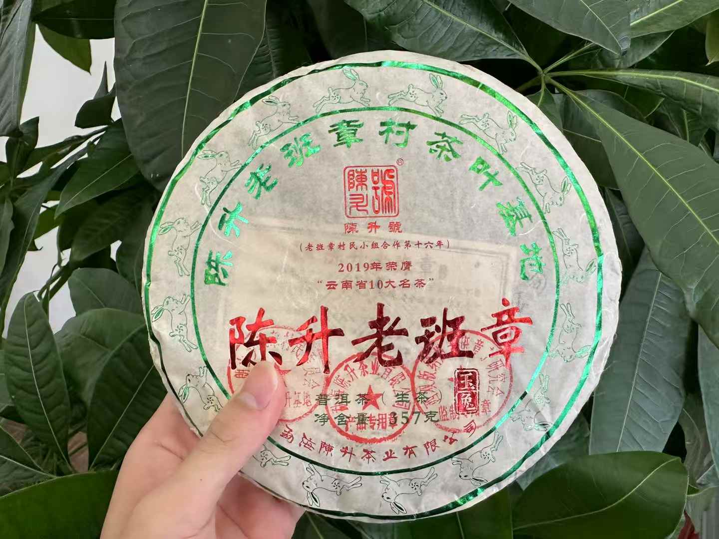 陈升号年老班章